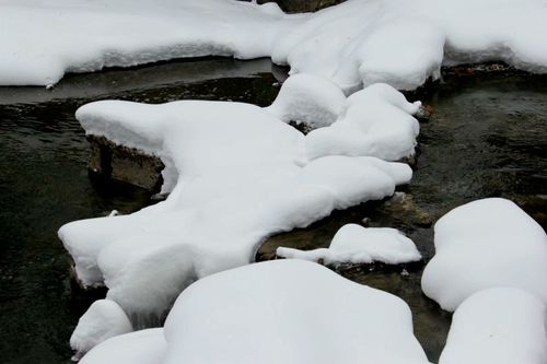 瑞雪兆丰年 作文（《瑞雪兆丰年，寻找幸福之路》）