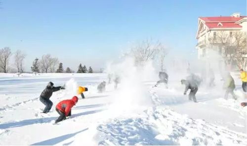 有关打雪仗的作文600字（《打雪仗》）