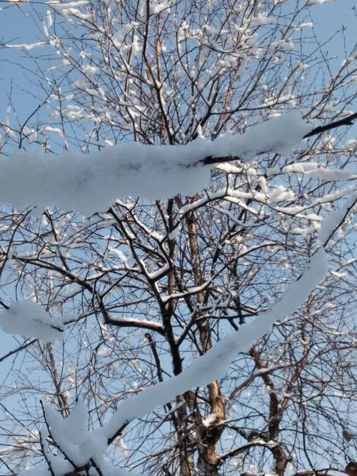 神奇的雪山之旅作文400字（《雪景下的奇迹》）