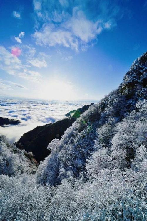 神奇的雪山之旅作文400字（《雪景下的奇迹》）