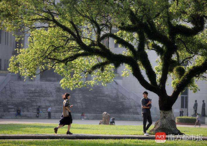 一篇关于春天的校园的作文三百字（《花开美丽，人间烟火》）