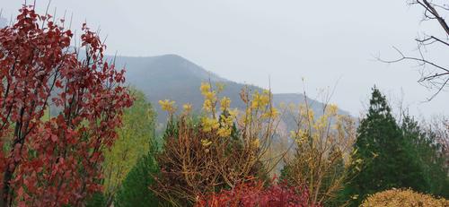 以写雨为话题的作文600字（《探险雨天》）