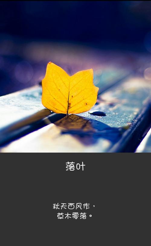 有关落叶的作文300字（《一个季节的流转与人生的变迁》）