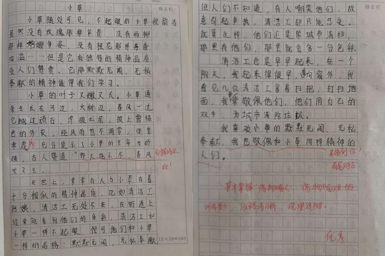 小草借物喻人的作文500字作文（《借小草之力）