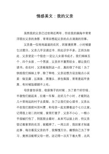 以我的父亲为话题的作文500字带题记（《我父亲那个年代的人性与坚持》）