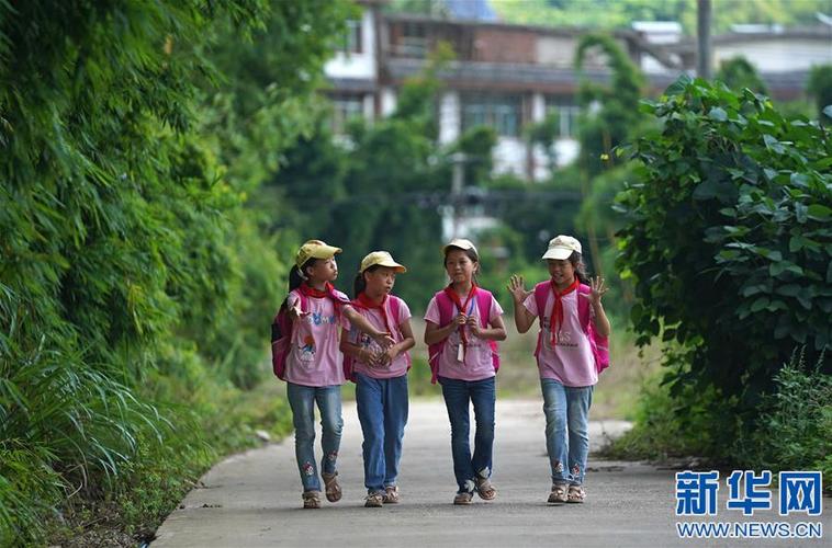 关于放学回家的路上的作文（《一次偶遇》）