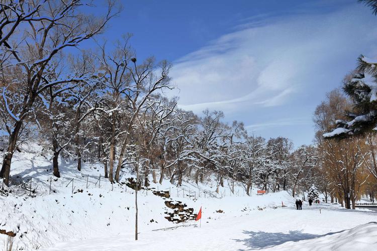 以冬天的雪景为题的作文（《雪中情缘》）