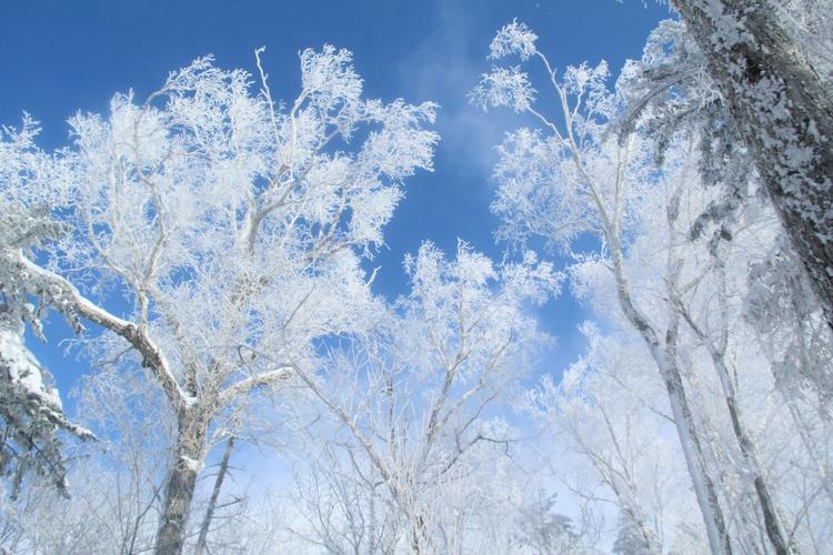 以冬天的雪景为题的作文（《雪中情缘》）