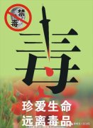 以禁毒为主题的作文800字（《他们用自己的汗水诠释着禁毒路上的坎坷和荆棘》）