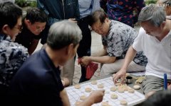 有关下棋的作文400字（《棋盘上的故事》）