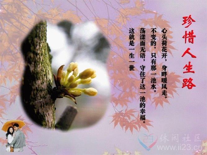 学会珍惜作文800字初中作文（《珍惜，是一道思想的火花》）