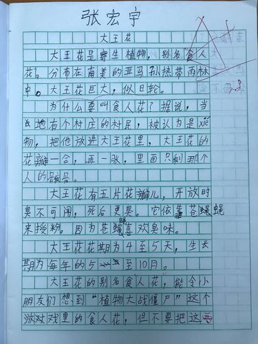 有关我的朋友结尾的作文600字（《以友之名，依旧相伴》）