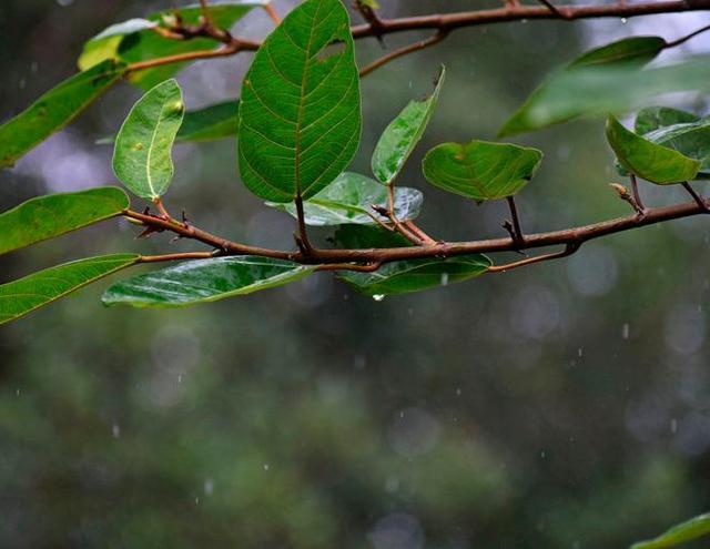 一场秋雨一场寒的早安问候语（一场秋雨一场寒早安语说说）