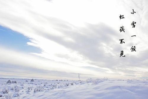 小雪节气的说说唯美大全（冰雪飘飘，花木沉寂）