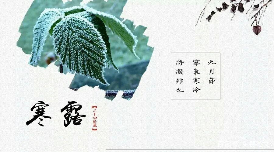 寒露祝福朋友友情祝福语（送亲朋好友的温馨寒露节祝福语）