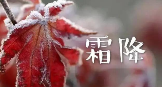 霜降说说发朋友圈开心句子（霜降到了朋友圈怎么发）