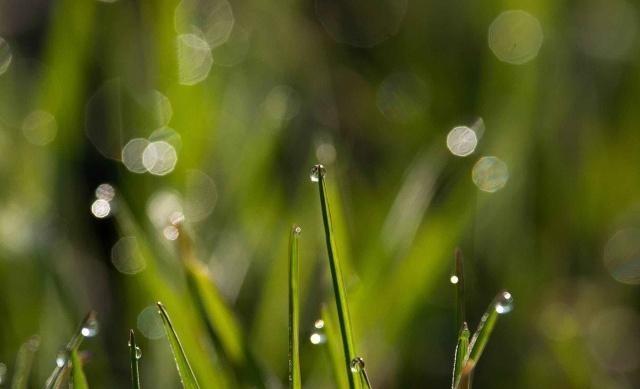 适合雨天发圈的句子（雨落江南——雨天唯美短句）