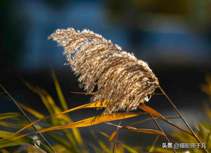 有关秋天朋友圈唯美句子的好句子（秋天朋友圈唯美句子——温馨如诗，美丽如画）