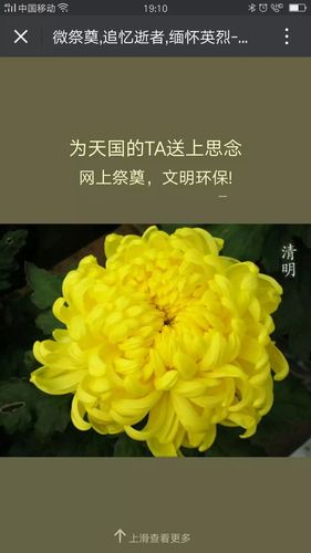 2021年清明节祝福语（2023适合清明节发的寄语好句）