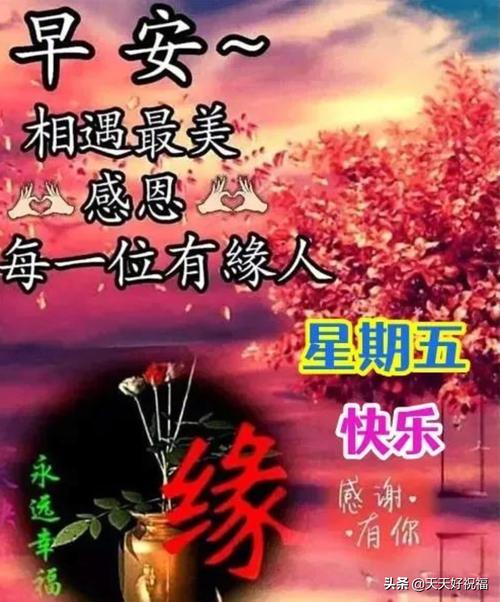 美好祝愿的话心情说说（美好祝愿的句子经典）