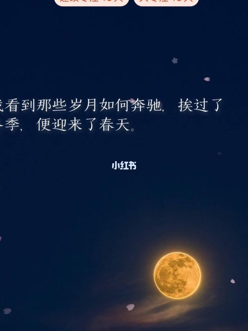 人间清醒的优美句子（清醒之美）