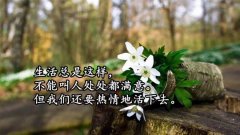 永不言败的经典语录（永不言败的正能量唯美句子）