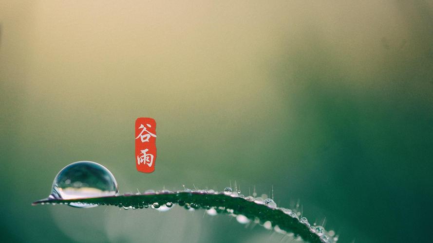 有关谷雨的唯美诗句古诗的短句子（谷雨的唯美诗句古诗）