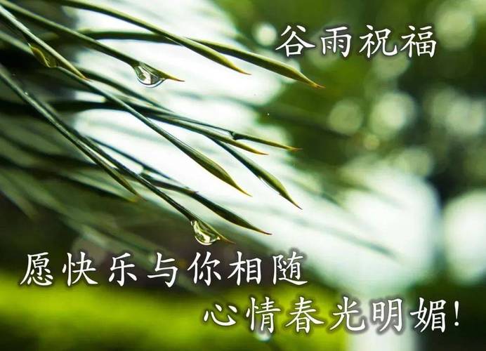 有关谷雨的唯美诗句古诗的短句子（谷雨的唯美诗句古诗）