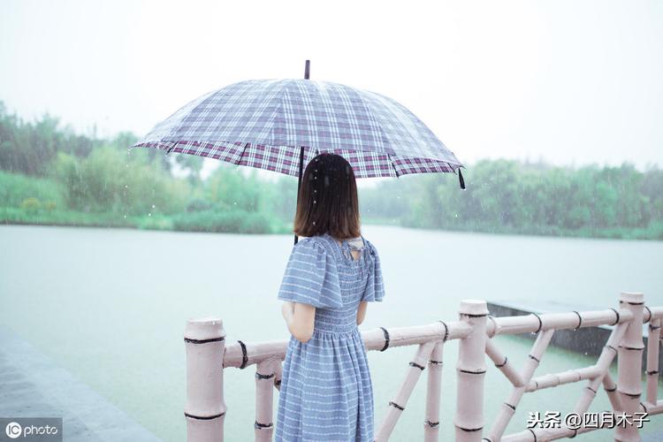 关于雨天的佳句（雨天的唯美句子）