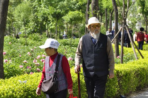 夫妻相濡以沫的句子短句（夫妻相伴，执手共度美好人生）