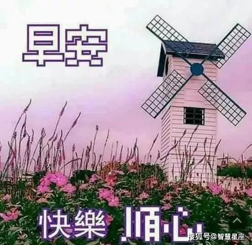 关于早上好的句子唯美短句（清晨花开，生命绽放）