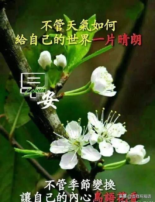 关于早上好的句子唯美短句（清晨花开，生命绽放）