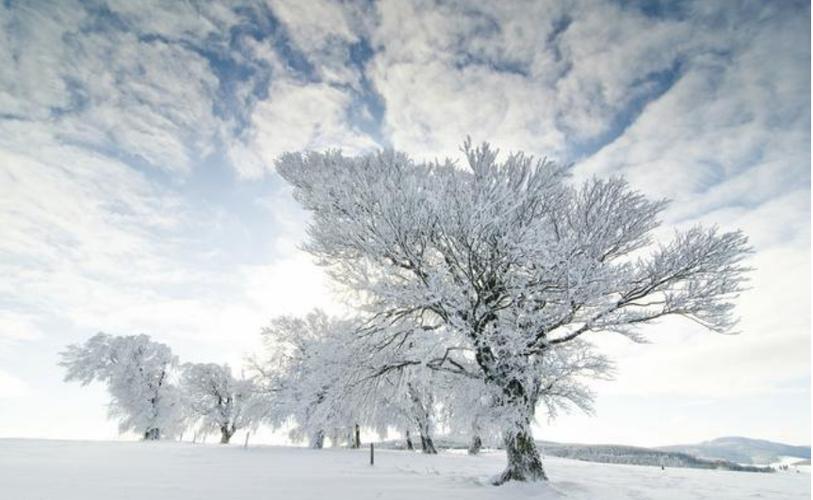 描写雪的唯美句子短句（「银装素裹的世界」——雪）