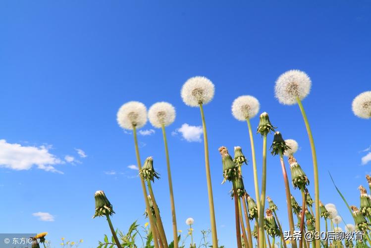 有关形容春天的唯美句子的句子有哪些（《春天的唯美画卷》）