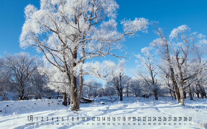 雪景色优美的句子（一句简短的雪景唯美句子）