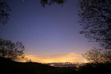 那些家乡的夜晚作文（《夜晚的风景》）