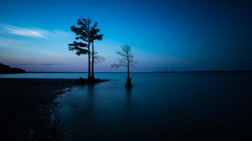 那些静静的夜晚作文（《夜晚的风景》）