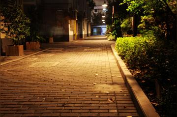 那些万圣节的夜晚作文（《夜晚的风景》）