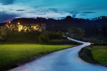 那些夏日的夜晚作文（《夜晚的风景》）