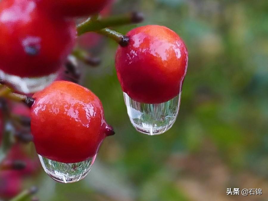 赞美秋雨的诗句古诗大全（七首秋雨诗词）