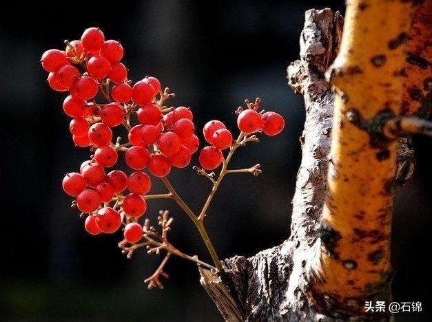 意境唯美浪漫的古诗词（七首绝美诗词）