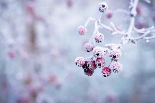 写雪诗词名句大全（十首唯美写雪诗词）