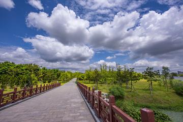 那些夏天的雷雨作文（《夏天的风景》）