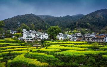 我爱夏天的美丽作文（《夏天的风景》）