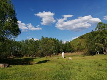 那些夏天的味道作文（《夏天的景色》）