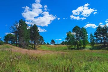 那些属于我的夏天作文（《夏天的风景》）