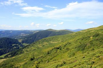 那些寻找夏天的作文（《夏天的风景》）