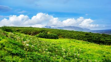 那些寻找夏天的作文（《夏天的风景》）