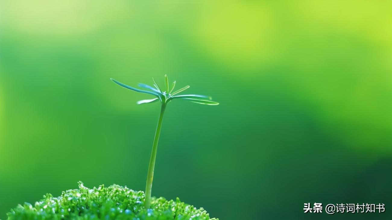 二十四节气立春诗词（描写节气立春的诗词）