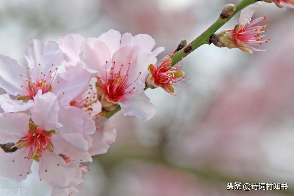 二十四节气立春诗词（描写节气立春的诗词）